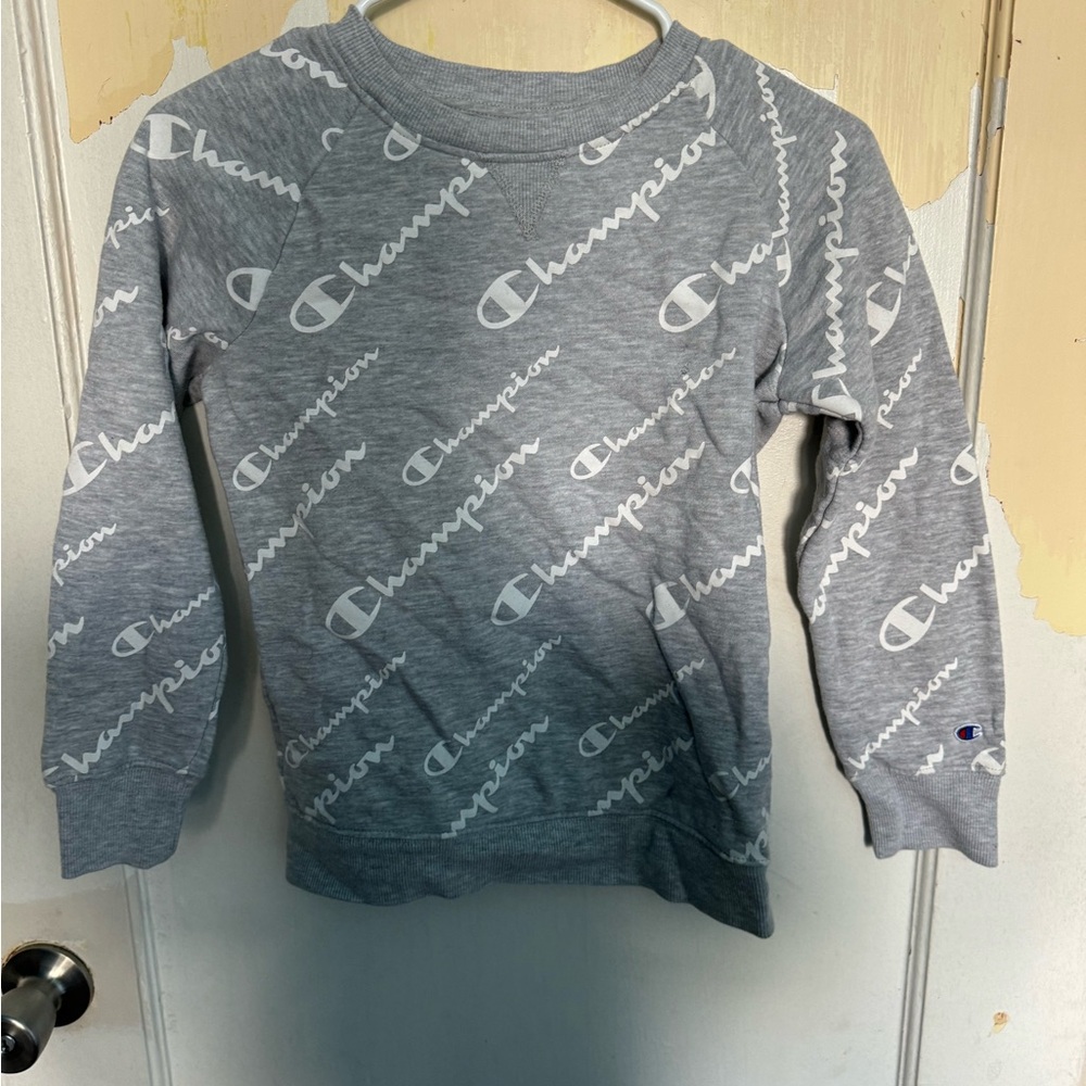 Champion Sweater